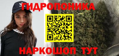 мяу мяу мука Кунгур