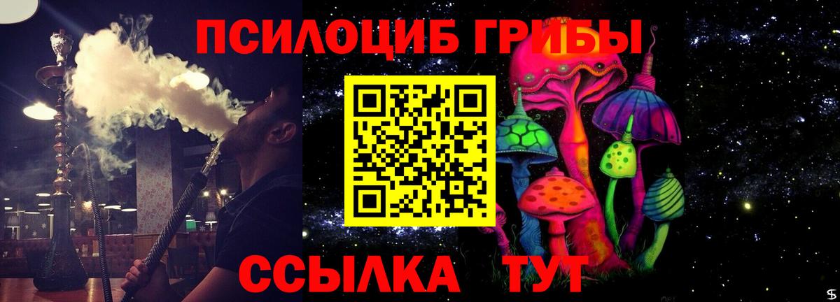Псилоцибиновые грибы мицелий  Вход с VPN  Сызрань 